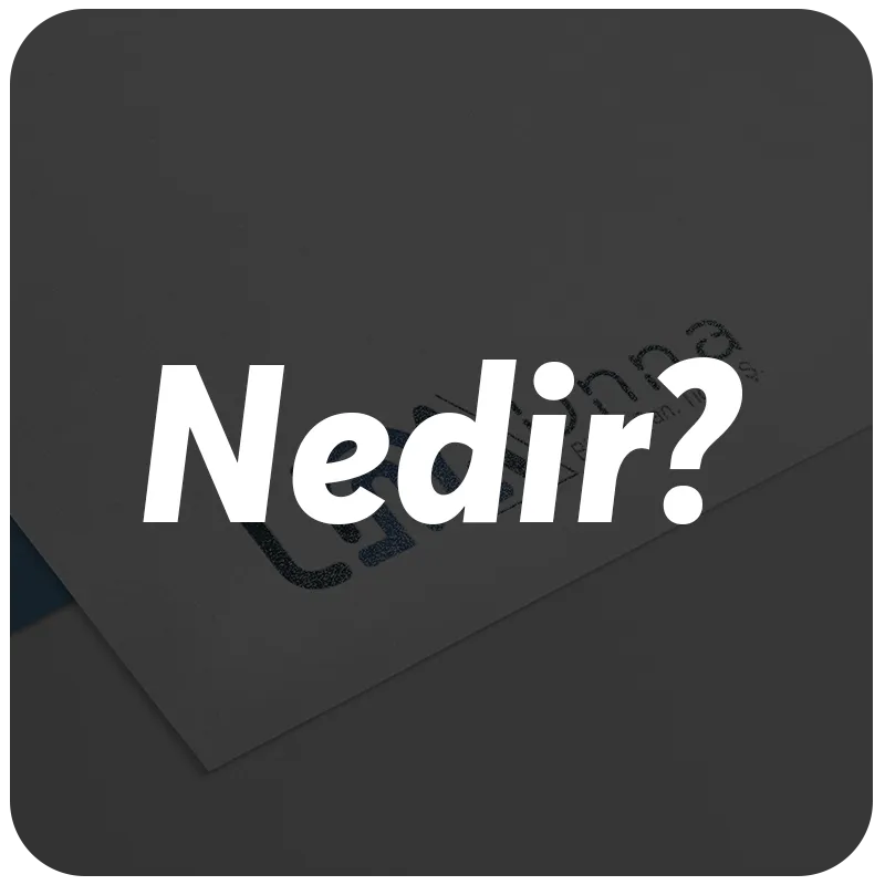 ERP Server Nedir?